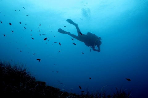 Nea Makri: Open-Water Diving Advanced PADI Kurs
