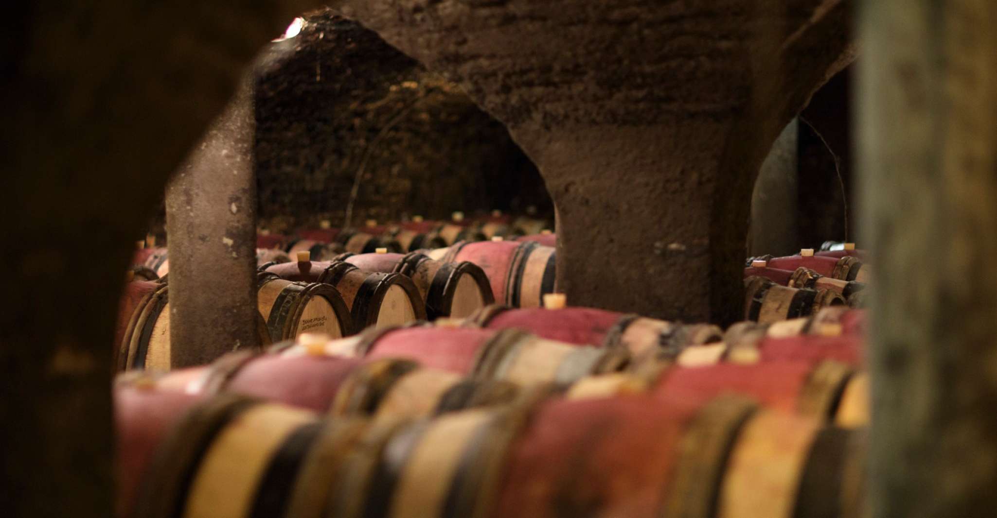 Beaune, Maison Champy Guided Cellar Tour with Wine Tasting - Housity