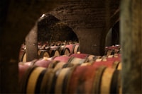 Beaune, Maison Champy Guided Cellar Tour with Wine Tasting - Housity