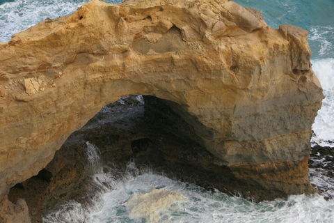 Melbourne: Great Ocean Road & Twelve Apostles Full-Day Tour