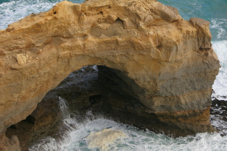 Melbourne: Great Ocean Road & Twelve Apostles Full-Day Tour