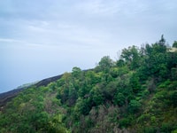 Sao Filipe, Coffee Plantation and Natural Pools Day Trip - Housity