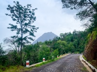 Sao Filipe, Coffee Plantation and Natural Pools Day Trip - Housity