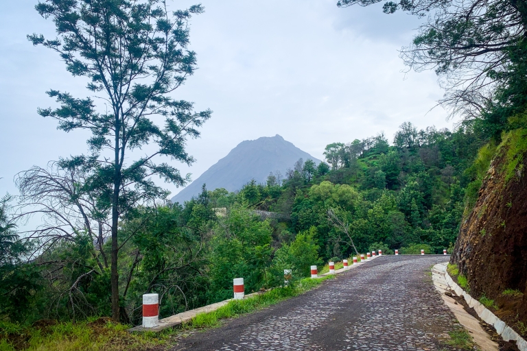 Sao Filipe: Jednodniowa wycieczka na plantację kawy i naturalne basenyPrywatna wycieczka