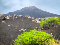 Sao Filipe, Coffee Plantation and Natural Pools Day Trip - Housity