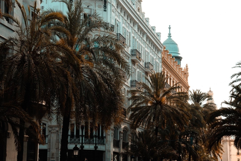 Valencia: tour a pie privado y guiado por la ciudad