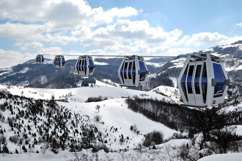 De Belgrado: Visita guiada de dia inteiro à montanha Zlatibortour privado