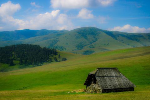From Belgrade: Full-Day Guided Tour of Zlatibor Mountain