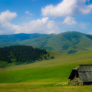 Z Belgradu: całodniowa wycieczka z przewodnikiem po górze Zlatibor