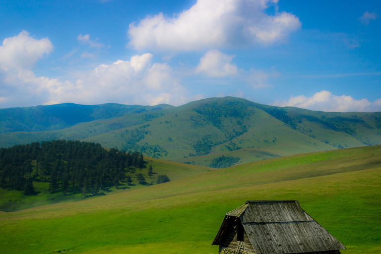 De Belgrade: visite guidée d'une journée de la montagne ZlatiborVisite privée