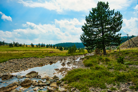 From Belgrade: Full-Day Guided Tour of Zlatibor MountainPrivate Tour