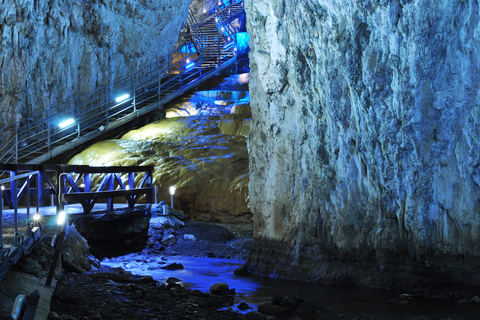 Ab Belgrad: Ganztägige Führung durch den Berg ZlatiborPrivate Tour