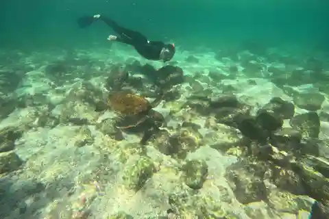 TOUR DI 3 GIORNI STA CRUZ +ISABELA + STA FE+ ALLOGGIO + TRASFERIMENTO ENTRATA E USCITA