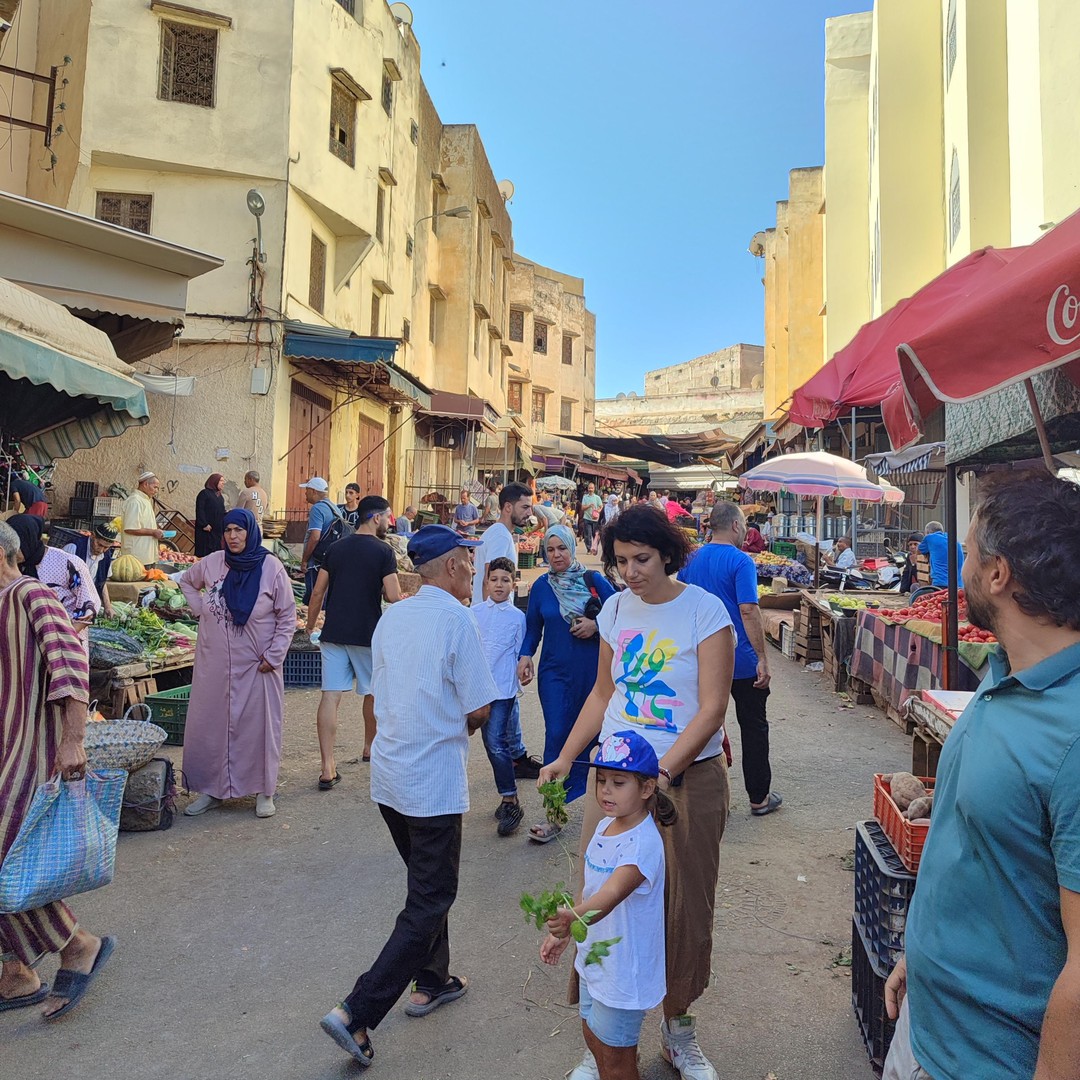 Visite d'une demi-journée guidée dans la médina de Fès - medina