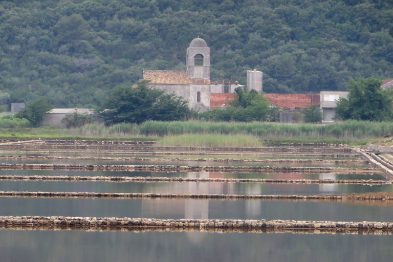 Dubrovnik: Tagesausflug zu 3 Peljesac Weingütern mit Verkostungen