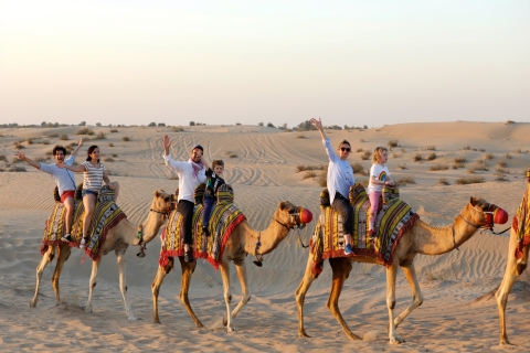 Desde Dubái: paseo en camello en Al Marmoom con desayuno beduinoTour con traslado privado