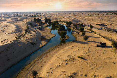 Dubai: Heritage Safari, kamelritt och middag i Al Marmoom OasisPrivat rundtur med 6-rätters beduinmiddag