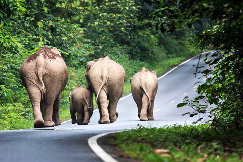 Bangkok: excursión de un día al Parque Nacional Khao Yai con paseo a caballoCompartido 1 día Parque Nacional Khao Yai y Equitación