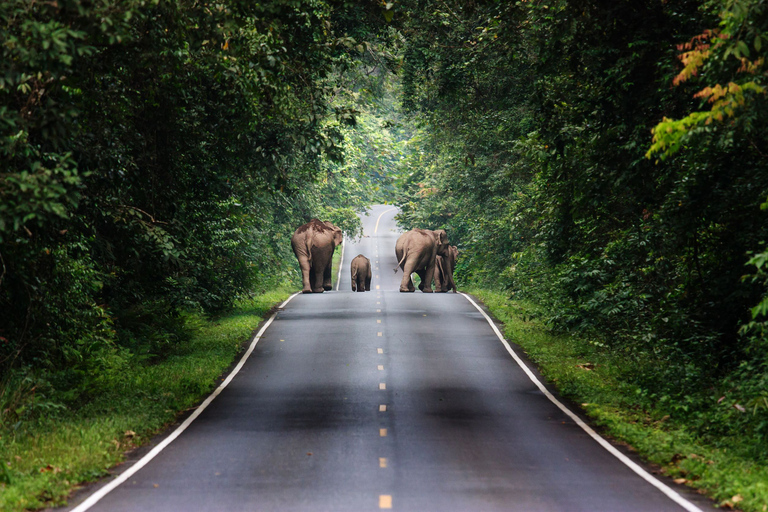 Bangkok: excursión de un día al Parque Nacional Khao Yai con paseo a caballoCompartido 1 día Parque Nacional Khao Yai y Equitación