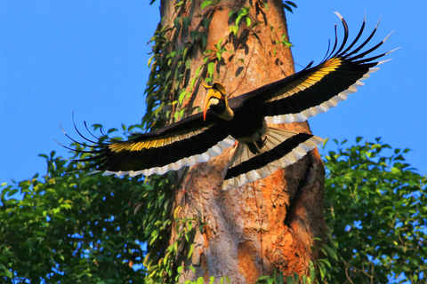 Bangkok: excursión de un día al Parque Nacional Khao Yai con paseo a caballoCompartido 1 día Parque Nacional Khao Yai y Equitación