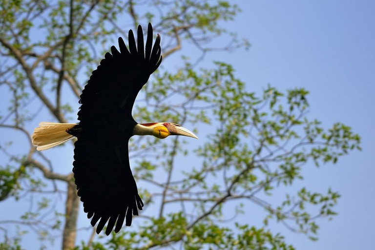 Bangkok: excursión de un día al Parque Nacional Khao Yai con paseo a caballoTour privado de 1 día Parque Nacional Khao Yai y equitación