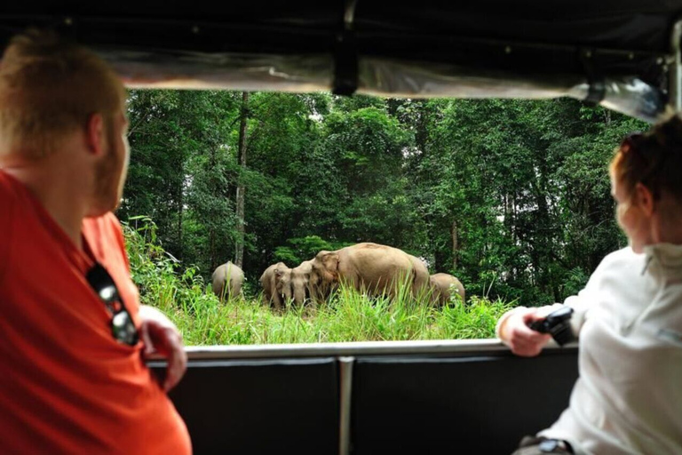 Bangkok: excursión de un día al Parque Nacional Khao Yai con paseo a caballoCompartido 1 día Parque Nacional Khao Yai y Equitación