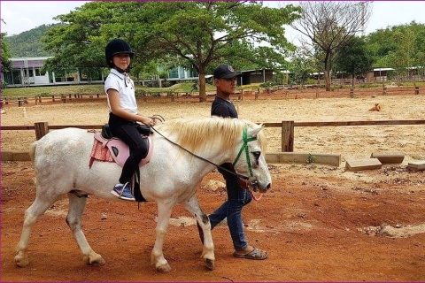 Bangkok: parc national de Khao Yai avec excursion d'une journée à chevalPartagé 1 jour parc national de Khao Yai et équitation