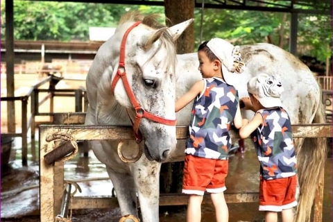 Bangkok: parc national de Khao Yai avec excursion d'une journée à chevalVisite privée d'une journée du parc national de Khao Yai et de l'équitation
