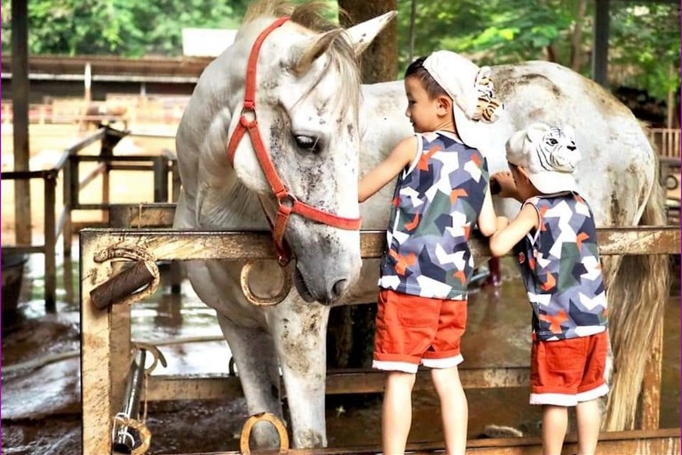 Bangkok: excursión de un día al Parque Nacional Khao Yai con paseo a caballoTour privado de 1 día Parque Nacional Khao Yai y equitación