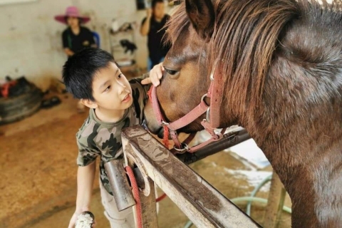Bangkok: parc national de Khao Yai avec excursion d'une journée à chevalPartagé 1 jour parc national de Khao Yai et équitation