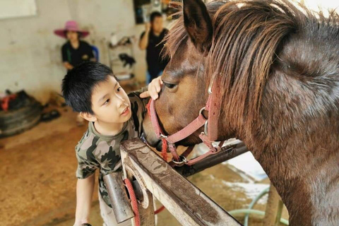 Bangkok: excursión de un día al Parque Nacional Khao Yai con paseo a caballoTour privado de 1 día Parque Nacional Khao Yai y equitación