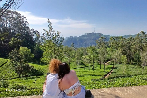 ELLA Lipton Seat Tea Test & Pluck 9Arch, Waterfalls, & Food Lipton's Seat, Little Adam Peak, 9 Arch, Ravana Waterfalls