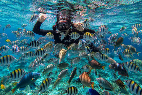 Cebu: Mactan Island Hopping & Snorkeling Tour with Lunch - Image 2