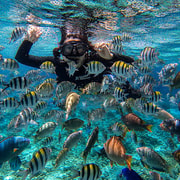 Cebu: Mactan Island Hopping & Snorkeling Tour with Lunch