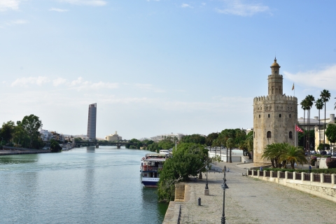 De Cadix: visite privée d'une journée des monuments célèbres de Séville