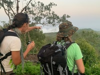 From Ponta Do Sol, Full-Day Nature Hike with A Guide - Housity