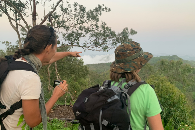 Desde Ponta Do Sol: caminata de día completo por la naturaleza con guía