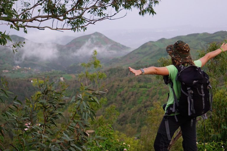 From Ponta Do Sol: Full-Day Nature Hike with A Guide