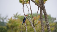 From Ponta Do Sol, Full-Day Nature Hike with A Guide - Housity