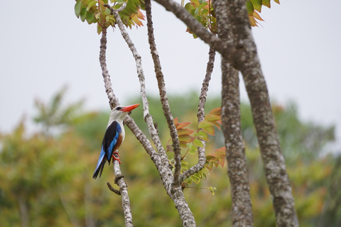 From Ponta Do Sol: Full-Day Nature Hike with A Guide