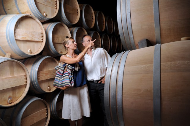 Visit Guagnano: Negroamaro Wine Tour with the Winemaker Guide in Santa Maria al Bagno