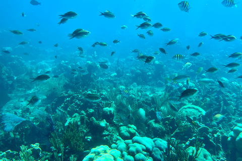 La Romana: Catalina Island for Mein Schiff Cruise Passengers