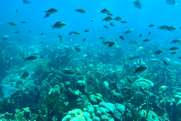 La Romana: Catalina Island for Mein Schiff Cruise Passengers