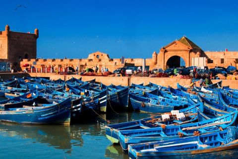 Da Agadir: gita di un giorno guidata a Essaouira con visita all'olio di argan