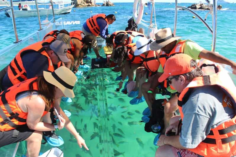 Los Cabos The Original Glass Bottom Boat Cruise GetYourGuide