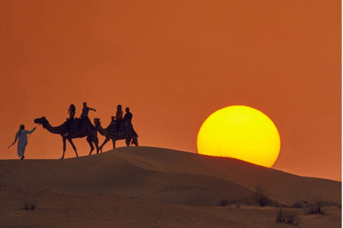 Safári no deserto ao pôr do sol com passeio de camelo e sandboard