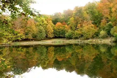 Group Tour: Dilijan, Parz Lake, Makaravank, wine factory