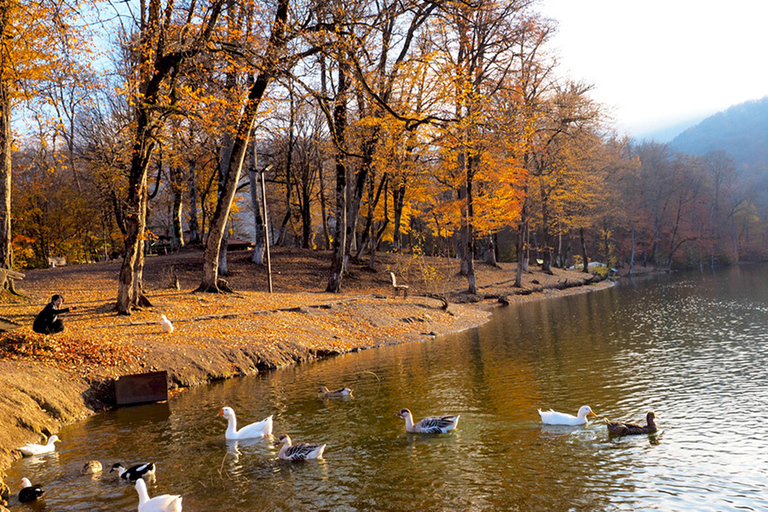 Group Tour: Dilijan, Parz Lake, Makaravank, wine factory