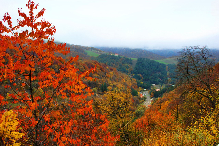 Group Tour: Dilijan, Parz Lake, Makaravank, wine factory