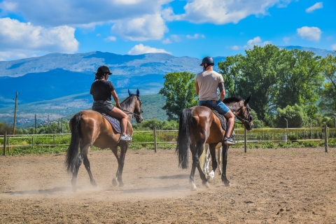 Van Split: hele dag paardrijden en quadrijden met lunchTandem Quad